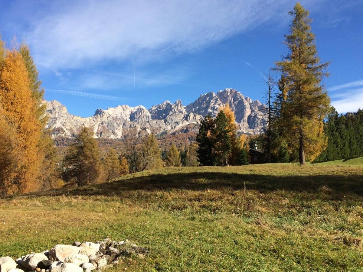 Luxury Panoramic 3Br Apt 2Min To Centre 5Min To Lifts Cortina dʼAmpezzo Kültér fotó