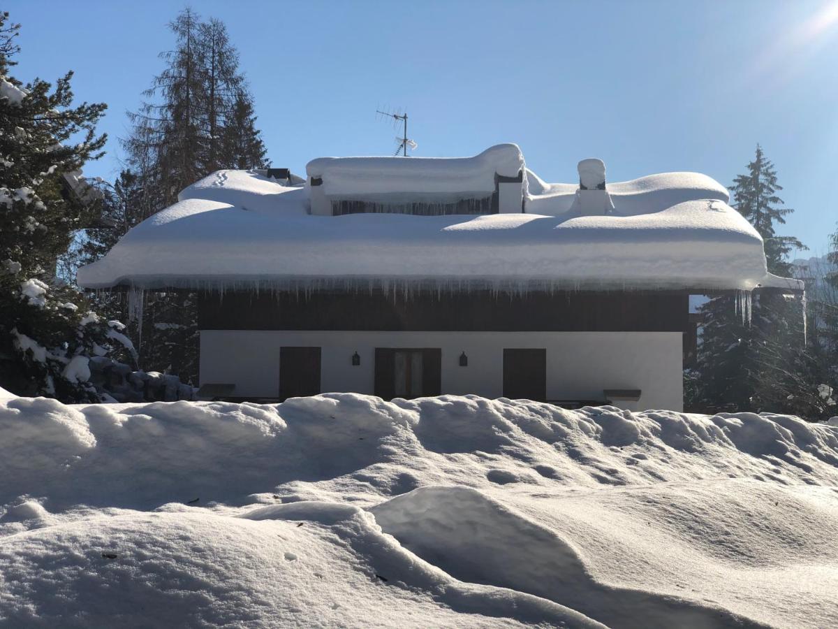Luxury Panoramic 3Br Apt 2Min To Centre 5Min To Lifts Cortina dʼAmpezzo Kültér fotó