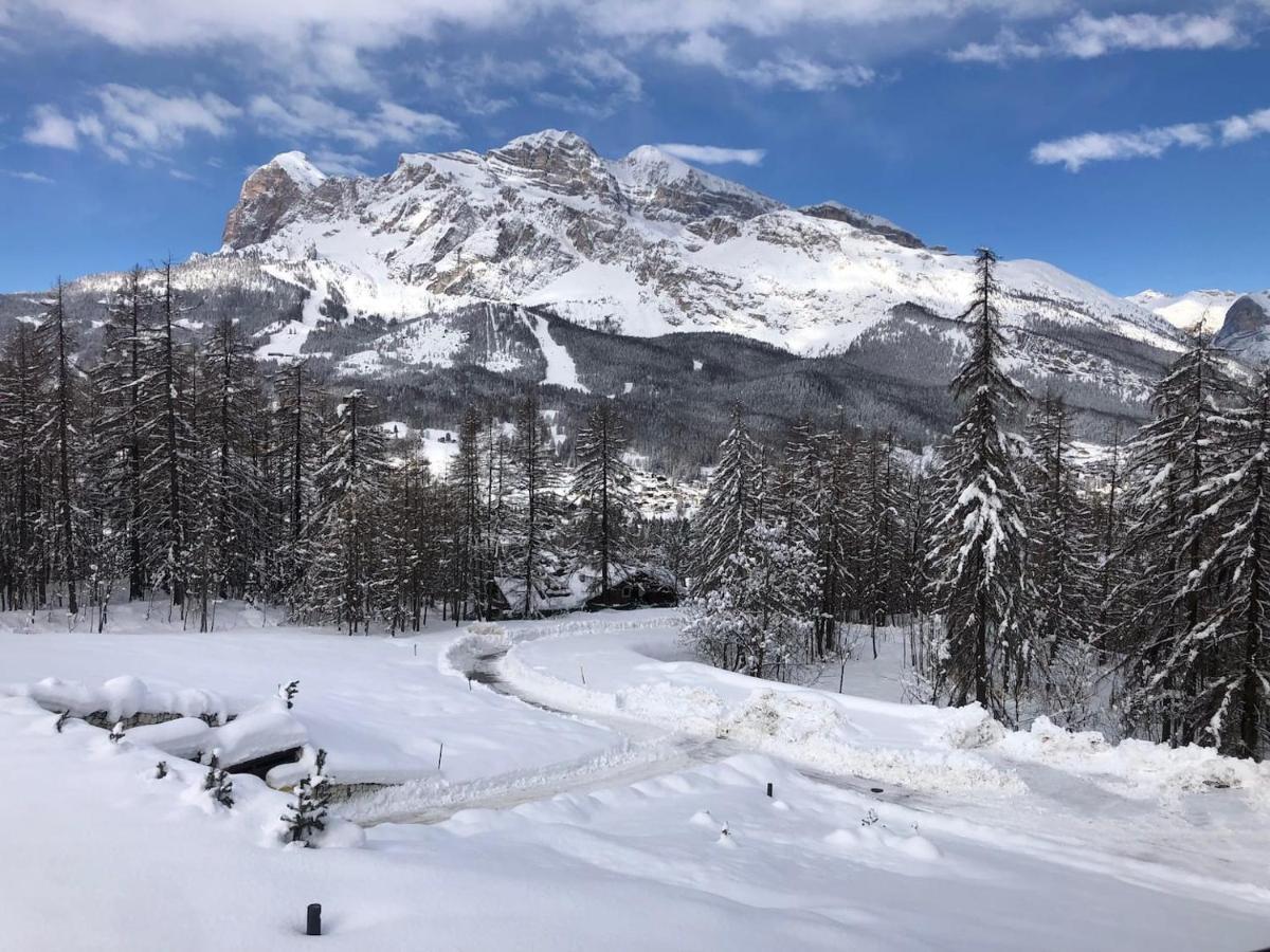 Luxury Panoramic 3Br Apt 2Min To Centre 5Min To Lifts Cortina dʼAmpezzo Kültér fotó
